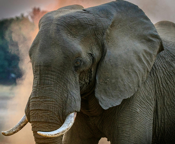 Queen Elizabeth National Park