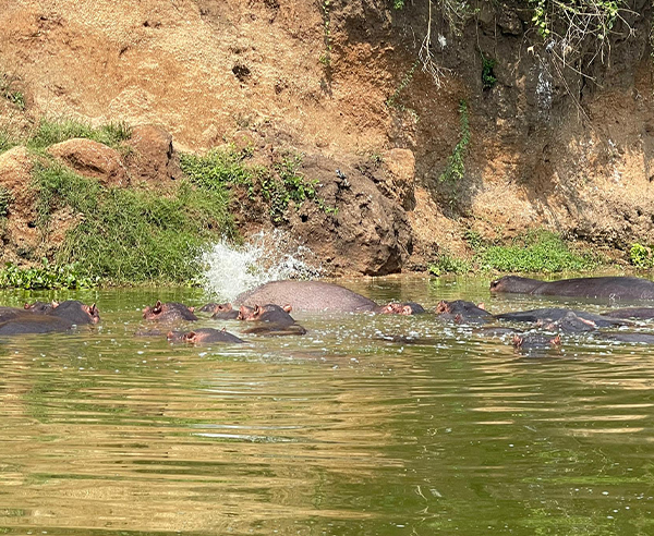 Lake Mburo National Park