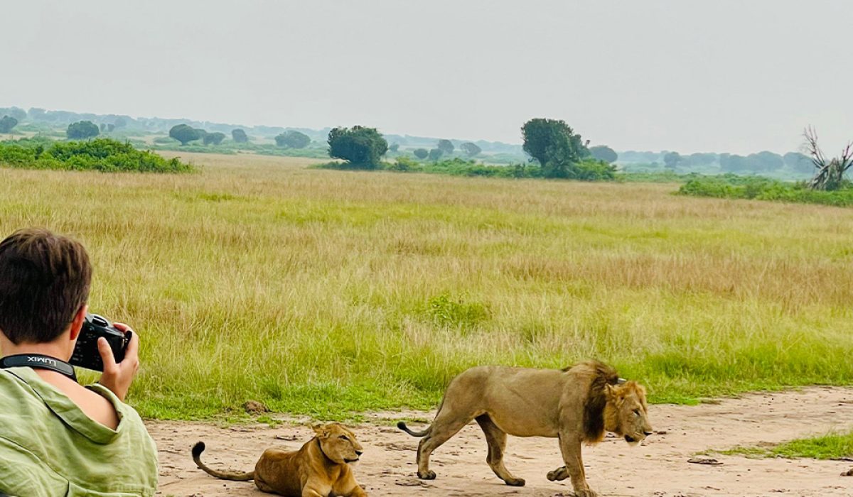LIONSSS